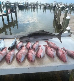Hooked on Fort Morgan’s stunning fishing spots
