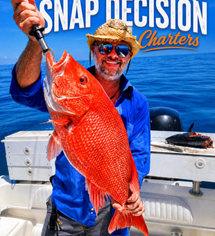 Red Snapper