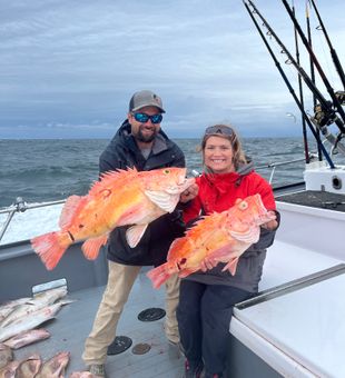 Yellow eye rockfish are the golden prize in our Alaskan waters, come try and catch one with us!