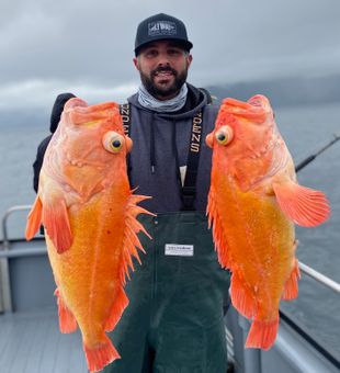 A lucky catch – vibrant rockfish