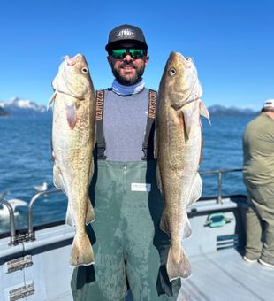 Pacific cod were on the menu this day on the legend with captain Bobby!