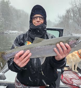 Catching the big one in Michigan