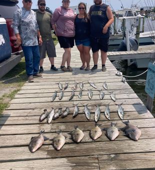 Mackerel and triggerfish catch with the crew!