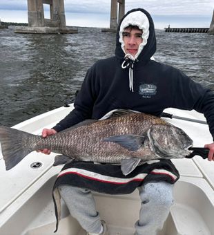 Nice black drum caught in Port Canaveral waters!