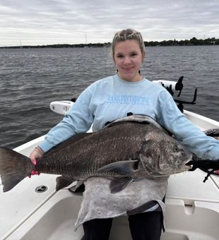 Massive Port Canaveral black drum makes for unforgettable fishing!