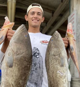 Grouper and Hogfish reels of the day in Sarasota