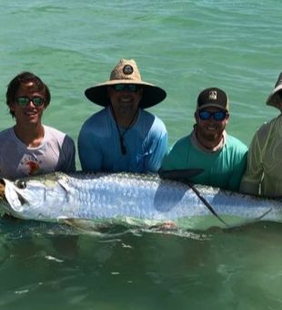 Florida's Silver Kings in Visuals
