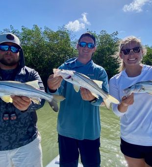 Marco Island Serenity, Fishing Frenzy.