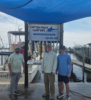Bull Reds on Stack - Gulfport, MS
