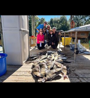 Come and fish with us in New Orleans!#Sheepshead