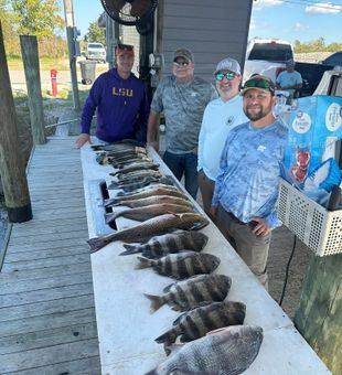 Loaded table of black drum, redfish, and sheepshead