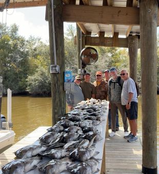 Solid catfish haul at the dock