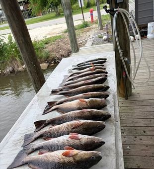 New Orleans, LA inshore and flats fishing charters offer incredible light tackle action through some of the most productive coastal waters in Louisiana.