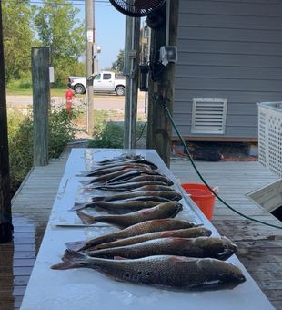 New Orleans inshore fishing