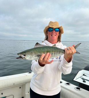 Fishing for Bonito in Orleans rocks!