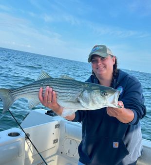 Striped Bass fishing in Orleans!