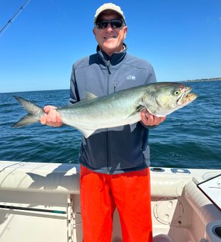 tasty bluefin tuna.