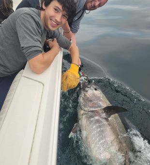 on the waters with cape cod.