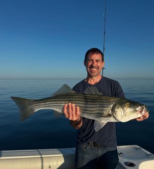 Striped Bass Blitz in the Bay