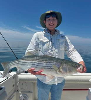 Bass Bending Rods in Massachusetts