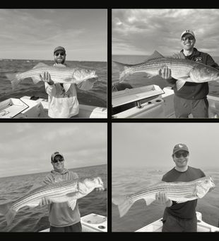Outstanding striped bass action in Orleans MA!