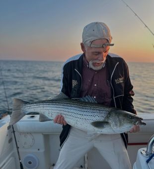 Fishing Cape Cod waters for blues