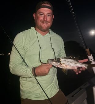Night bite success!