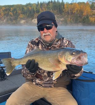 Trophy Walleye Lake Fishing Action
