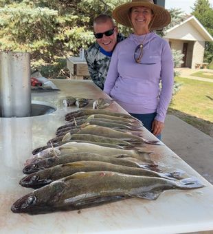 Outstanding walleye haul from Beulah ND waters!