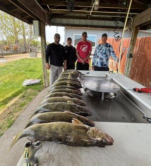 Trophy Walleye Fishing Charter Success