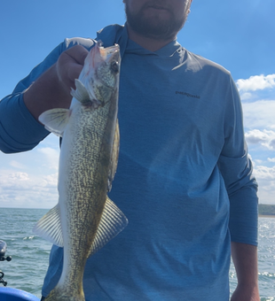 Nice Lake Sakakawea walleye caught on light tackle!