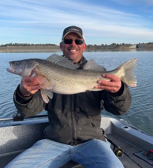 Big walleye action on the lake!