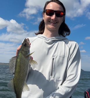 Nice Lake Sakakawea walleye caught on light tackle!