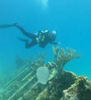 Exploring historic shipwrecks in Key Largo's crystal waters!