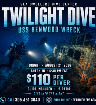 Twilight dive adventure on the USS Benwood wreck!