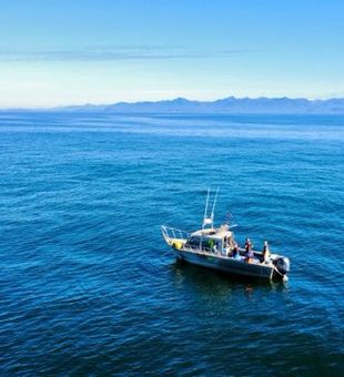 Scenic Oregon fishing spots