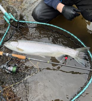 Oregon — built for those who love to fish.