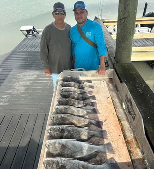 Working the shoreline in Corpus Christi, TX