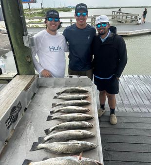 Stellar speckled trout haul from Corpus Christi waters!