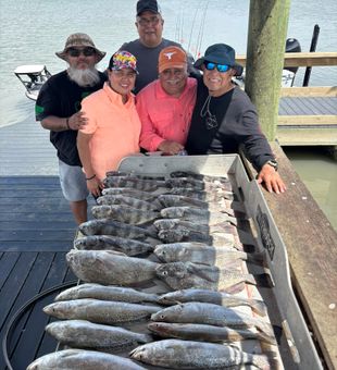 Coastal catch of the day 🎣