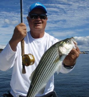 Professional surf casting Cape Cod guide.