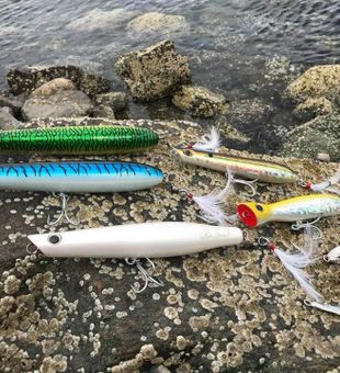 Beginner fly fishing on Cape Cod.