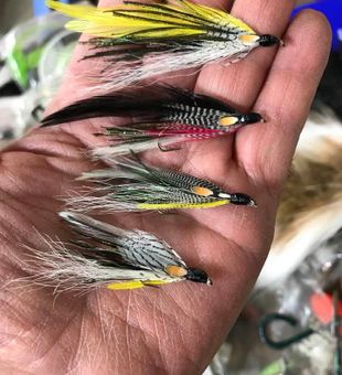 Improve fly fishing Cape Cod style.