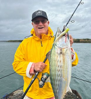 Bonito fishing with Ron Arra