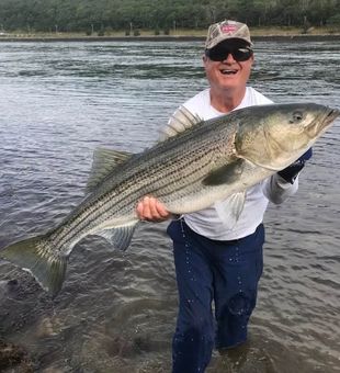 Whether you're chasing trophy striped bass or enjoying a family fishing outing, Cape Cod inshore fishing offers an unforgettable New England experience.
