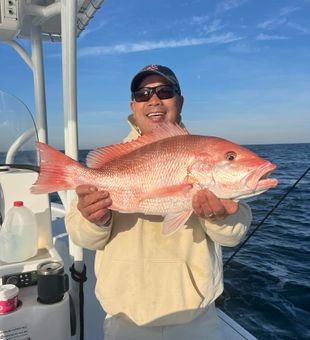 Amazing Red Snapper! Only in Charleston!