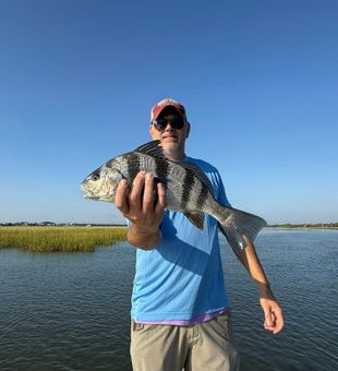 Lowcountry drum action shining in Charleston waters