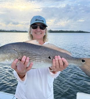 Perfect day chasing redfish across Charleston flats