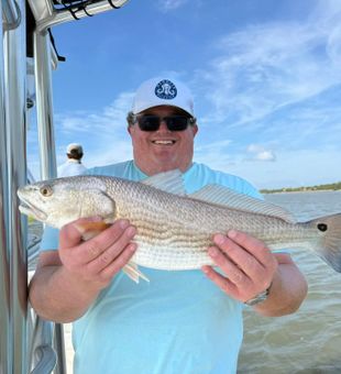 Charleston redfish showing off on a calm tide