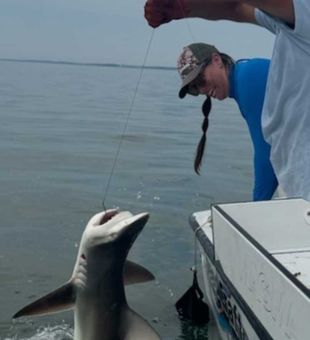 Sandbar shark landed on Chincoteague fishing charter!